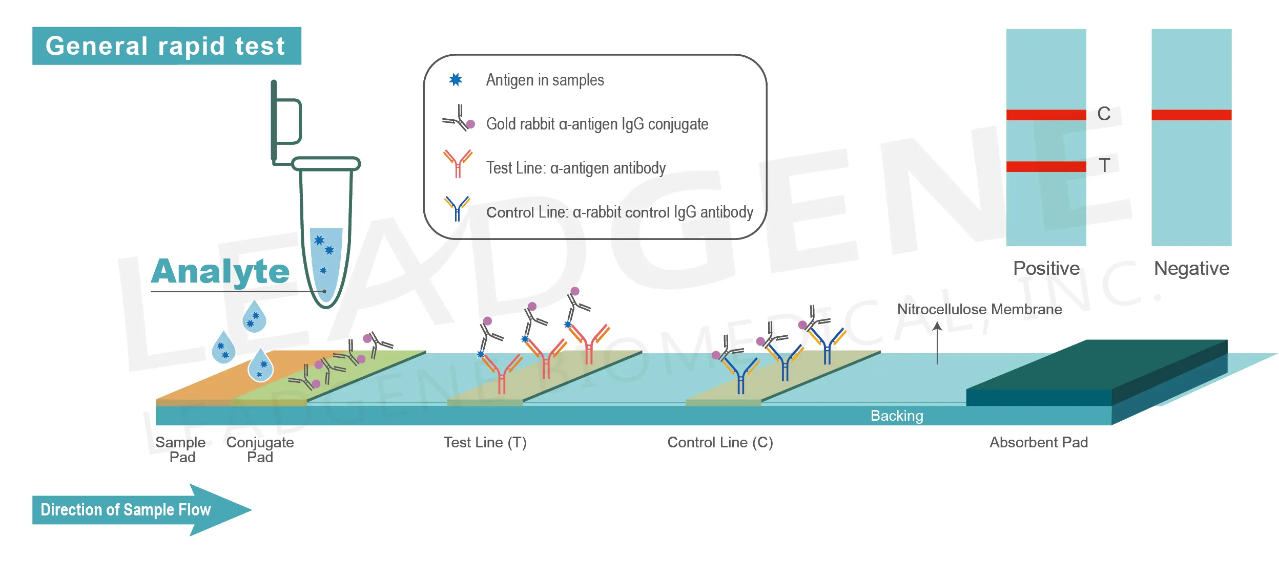 Leadgene